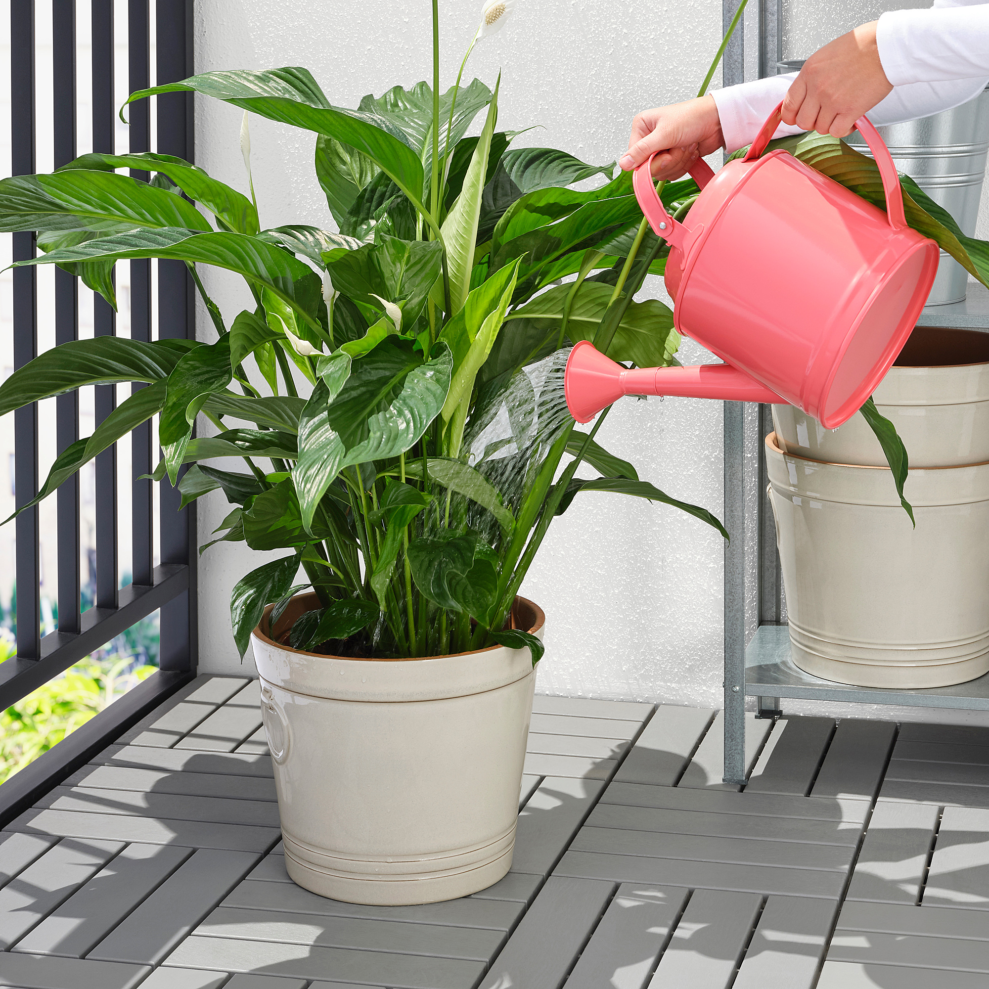 Watering Cans & Sprinklers Buy Online & Instore IKEA