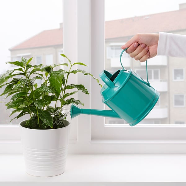 SOCKER Watering can, in/outdoor turquoise, 1 l IKEA