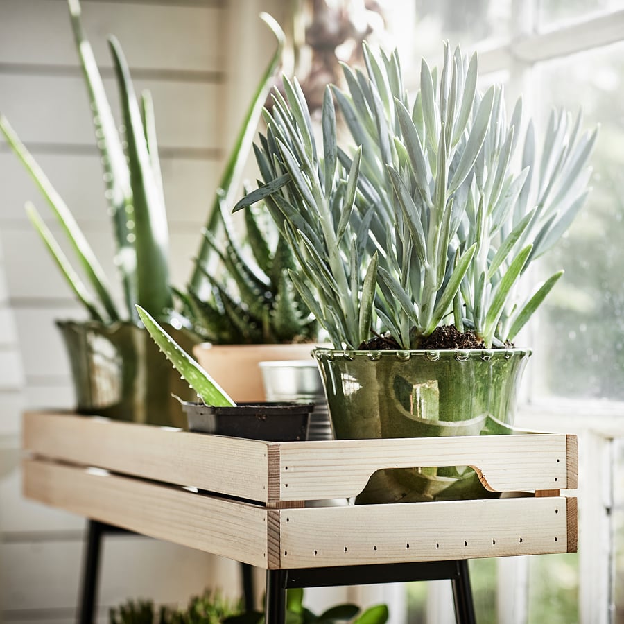 VANILJSTÅNG plant stand, pine/black, 67 cm IKEA