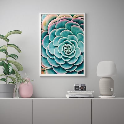 Modern room with succulent art print, shelf holding lamp, books, and plant.