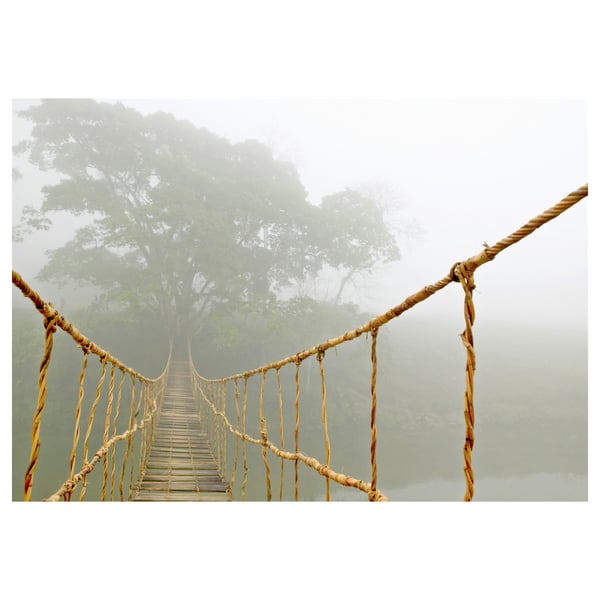 BJÖRKSTA Picture, jungle journey, 140x100 cm