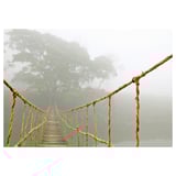 BJÖRKSTA Picture, jungle journey, 140x100 cm