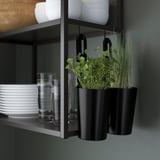 Modern kitchen shelf with hanging black pots, green herbs, clear glasses, and white plates.