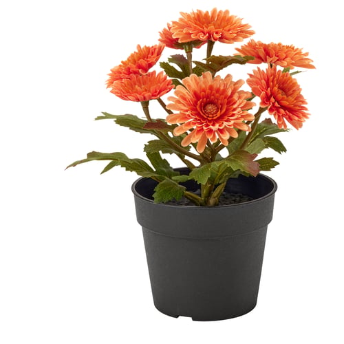 FEJKA Artificial potted plant, in/outdoor/Chrysanthemums orange, 9 cm