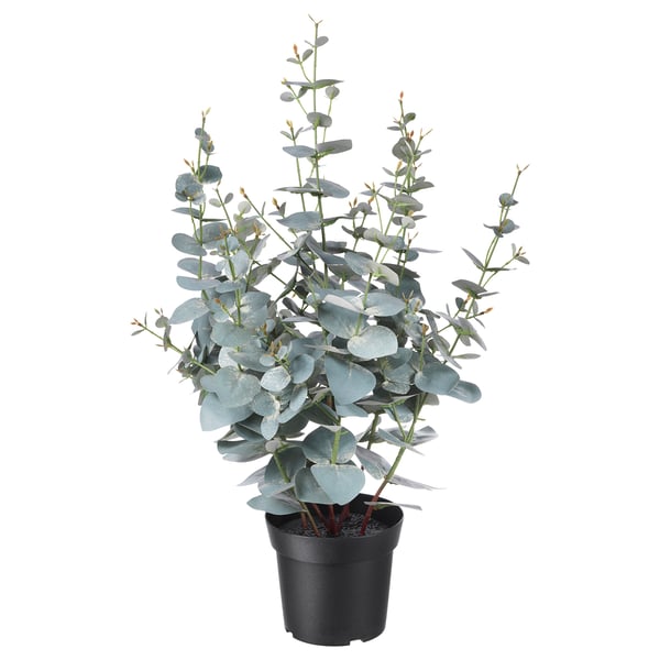FEJKA potted artificial eucalyptus, gray-green, plastic, natural shape.