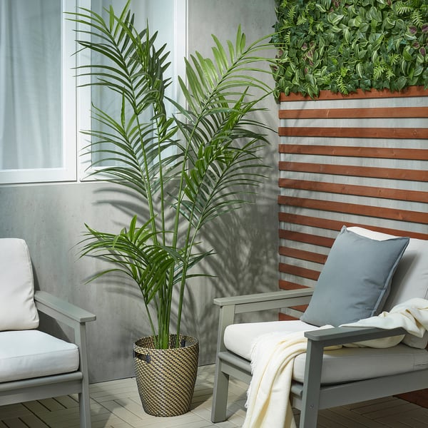Patio with two cushioned chairs, one with a blue pillow, the other a beige blanket, and a tall potted plant.