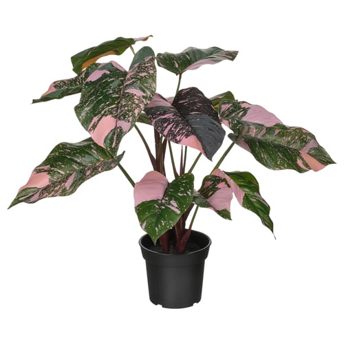 A FEJKA artificial plant with pink and green leaves, potted in a black container.