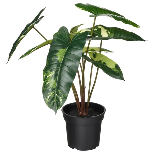 FEJKA potted plant, green, plastic, large leaves, white background.
