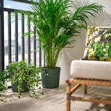 FRÄKENVÄXT Plant pot, in/outdoor/deep green, 24 cm