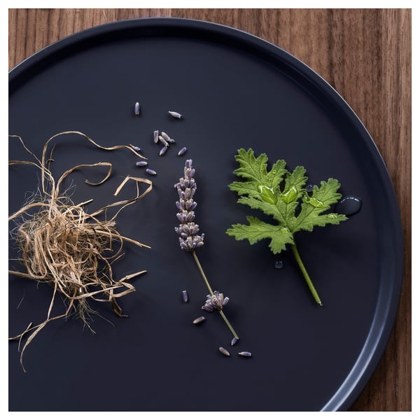 Black plate with lavender, leaves, and dried plant material. Minimalist design, natural elements.