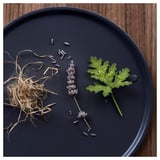 Black plate with lavender, leaves, and dried plant material. Minimalist design, natural elements.