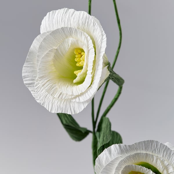 GULDSPETT Artificial flower, paper/lisianthus white, 55 cm