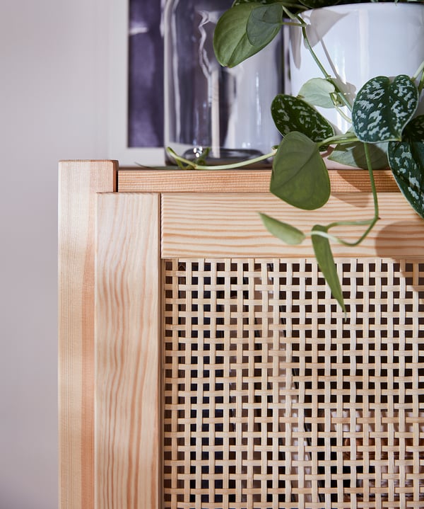 A light wooden cabinet with woven bamboo doors displays a green leafy plant.