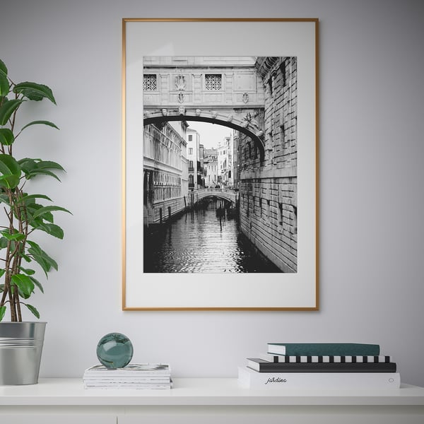 Framed black-and-white canal bridge photo hangs on wall with plant and books below.