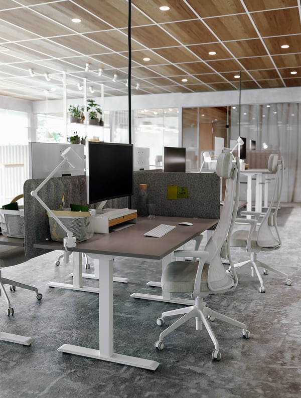 Modern office with white sit-stand desks, featuring computer monitors, ergonomic chairs, and a wooden ceiling.