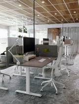 Modern office with white sit-stand desks, featuring computer monitors, ergonomic chairs, and a wooden ceiling.