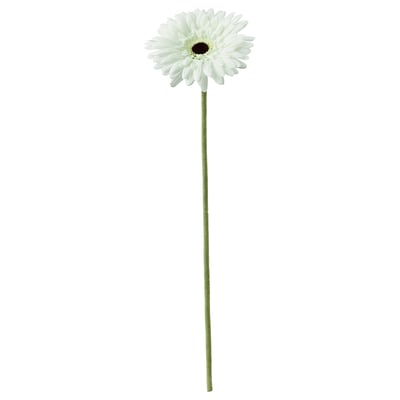 Single white artificial daisy with green stem on white background.