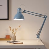 Blue desk lamp illuminates notebooks & dry flowers.