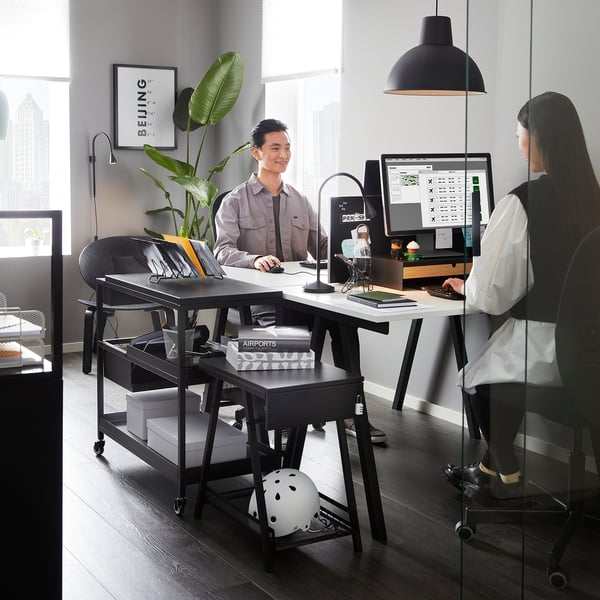 Modern office: two working, plants, light.