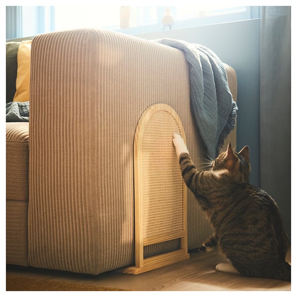 Gray tabby cat playing with sisal scratching board against chair.