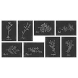 Black and white VÄXBO herb illustrations on cards, perfect for diy mini-gallery.