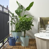Two green VITLÖK galvanized steel plant pots on a wooden deck, one larger with broad leaves, another smaller; a blue watering can.