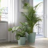 Green VITLÖK pots with plants near window. One broad leaves, one tall fronds. Indoor setting.