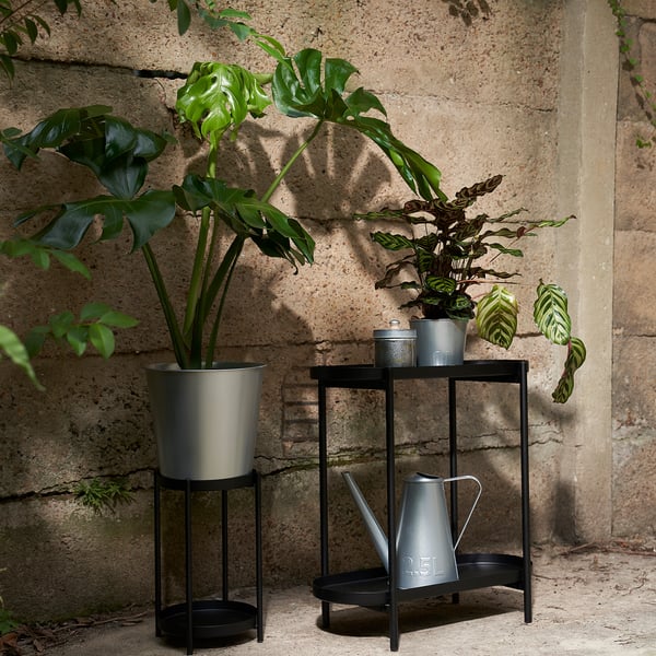 Plantes, pots et accessoires de jardinage - IKEA Belgique