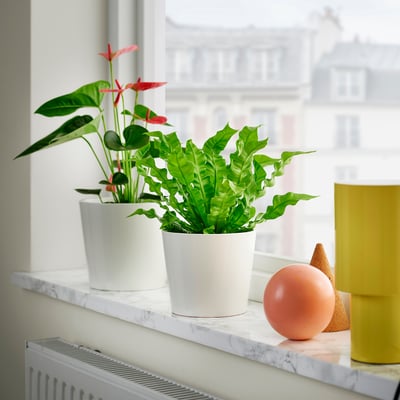Deux plantes en pot sur un rebord en marbre ; gauche rouge-vert, droite larges feuilles. Pots blancs, plus petits que la sphère orange voisine et le cylindre jaune.