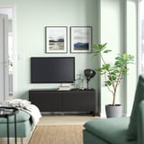 Salon moderne avec des murs vert menthe, un meuble TV noir, une télévision, des photos de la nature et une grande plante.