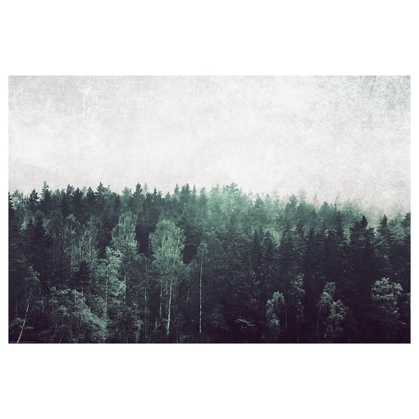 Est une affiche forestière aux tons verdâtres, montrant une forêt dense avec de grands arbres s’élevant vers un ciel nuageux.