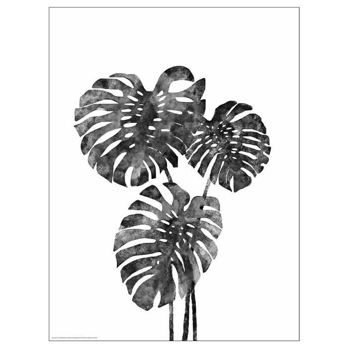 BILD Image, Monstera. Achetez ici IKEA Belgique