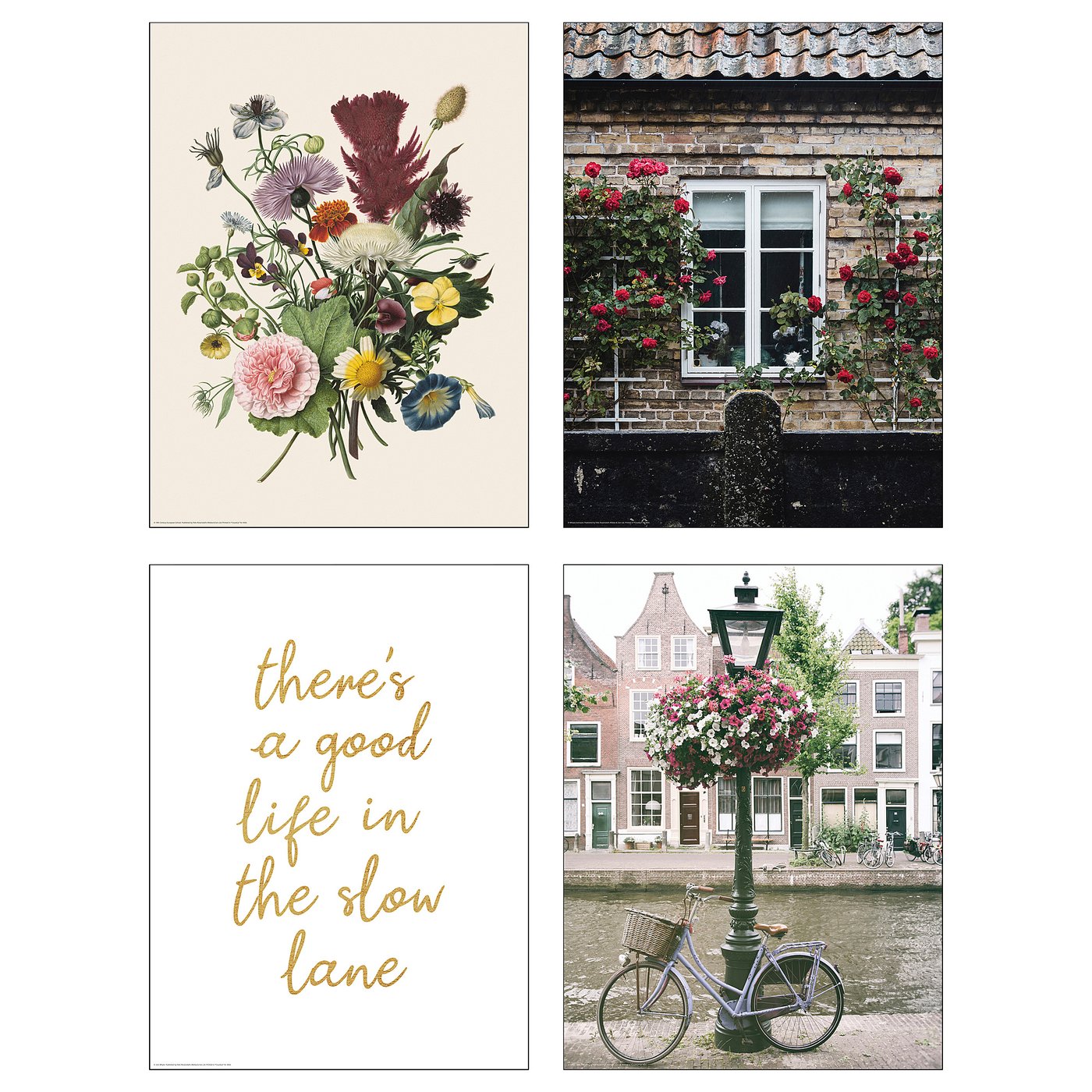 Collage de quatre panneaux : floral, bâtiment, citation, vélo et canal.
