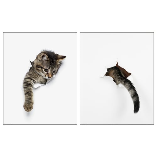 Deux affiches de chats, polychromes, carrées, avec un motif à effet déchiré.