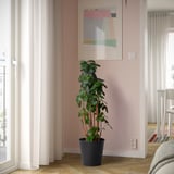 Une petite plante en pot se trouve à côté d’une grande fenêtre, ajoutant de la verdure à une pièce confortable aux murs roses et à l’art abstrait.