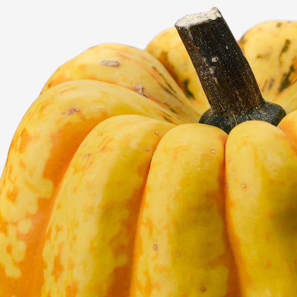 Gros plan de citrouilles jaune vif aux tiges sombres, mettant en valeur leur peau lisse et leur texture naturelle.