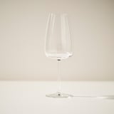 DYRGRIP Verre à vin blanc, verre transparent, 42 cl