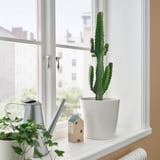 Cactus sur le rebord de la fenêtre avec arrosoir et figurine sur fond urbain.