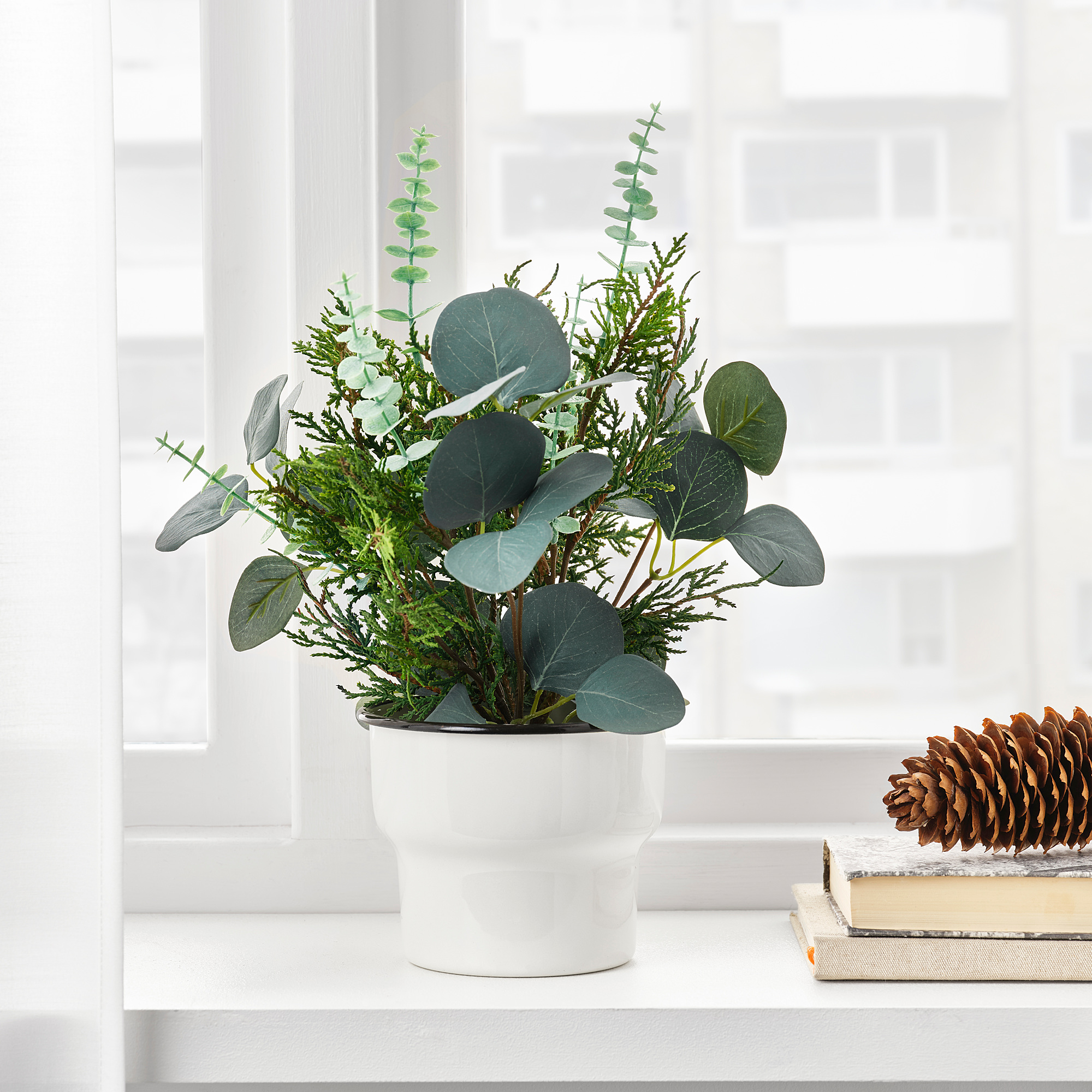 Plante D Intérieur Facile D Entretien Ikea
