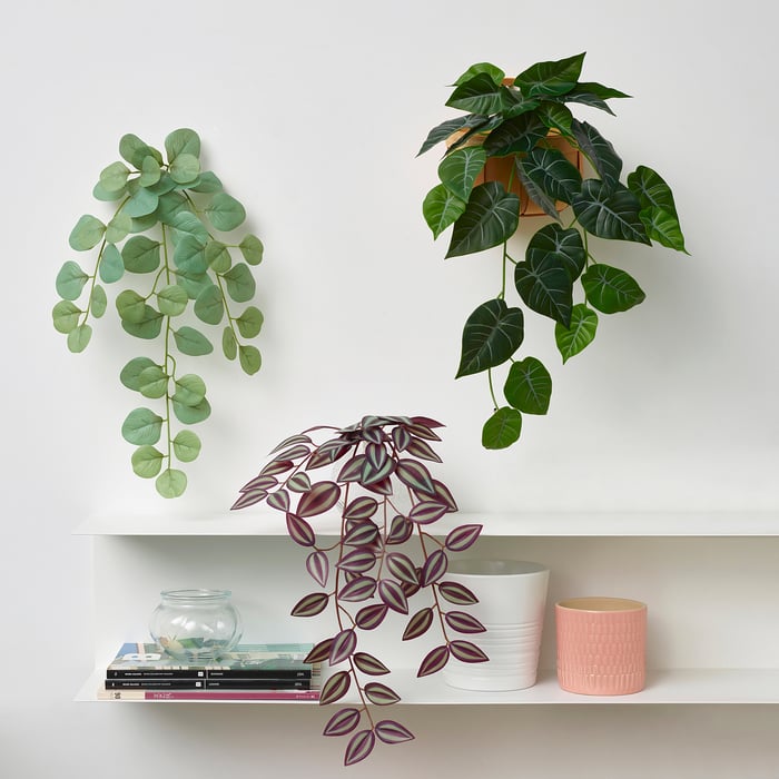 Sitemapcdatahttpsshopinf Inetcomporte Plante Mural Interieur