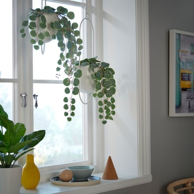 FEJKA Plante artificielle, intérieur/extérieur à accrocher/CEROPEGIA WOODII, 9 cm