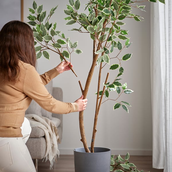 FEJKA Plante artificielle, intérieur/extérieur/figuier pleureur, 23 cm