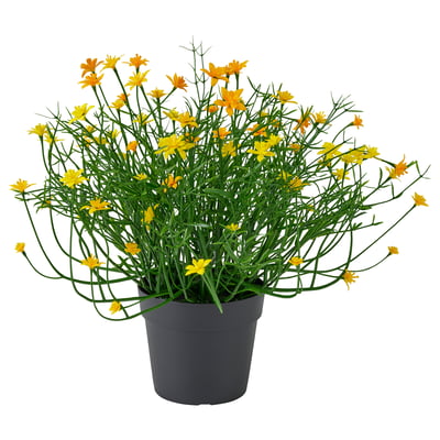 FEJKA Plante artificielle, intérieur/extérieur jaune, 9 cm