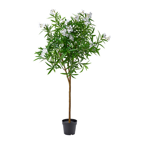 FEJKA IKEA occasion