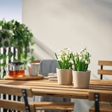 FEJKA Plante artificielle, intérieur/extérieur/perce-neige blanc, 9 cm