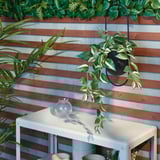 Une plante artificielle en pot est suspendue à une clôture en bois, ajoutant de la verdure à l’espace. En dessous, une petite table tient un vase transparent.