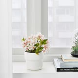 Un pot de fleurs blanc avec des fleurs roses se trouve sur un rebord de fenêtre, mettant en valeur sa polyvalence intérieure et extérieure.