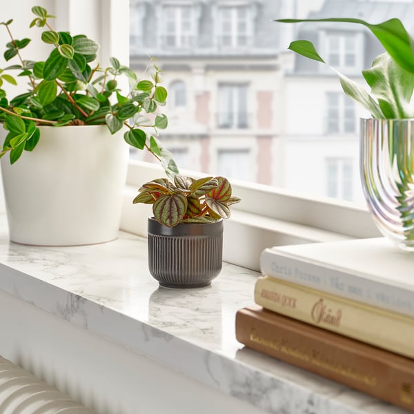 Étagère en marbre avec plante, livres et vases au soleil.