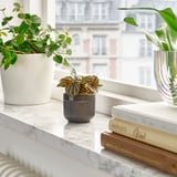 Étagère en marbre avec plante, livres et vases au soleil.