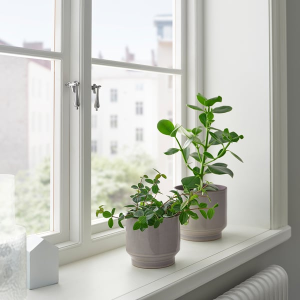 Deux pots en céramique HONUNGSPALM gris-beige sur un rebord de fenêtre blanc, contenant de petites plantes à feuilles vertes, avec une vue sur la ville derrière.